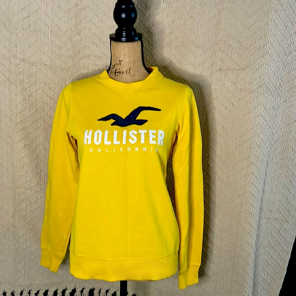 hollister sweater